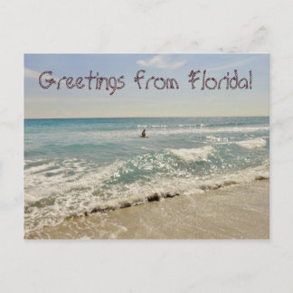 Grüße aus Florida Miami Postkarte