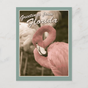 Grüße aus Florida Postkarte