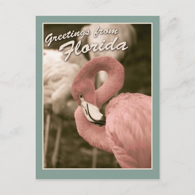Grüße aus Florida Postkarte (Vorderseite)