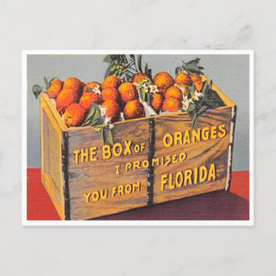 Grüße aus Florida Schachtel Orangen Vintage Postkarte