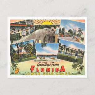 Grüße aus Florida, untere Golfküste Reise Postkarte