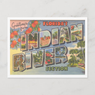 Grüße aus Floridas Indian River Vintage Postkarte