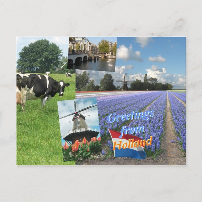 Grüße aus Holland Postkarte (Vorderseite)