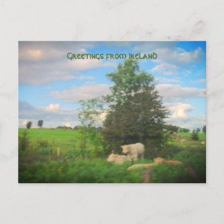Grüße aus Irland Fotografie Postkarte