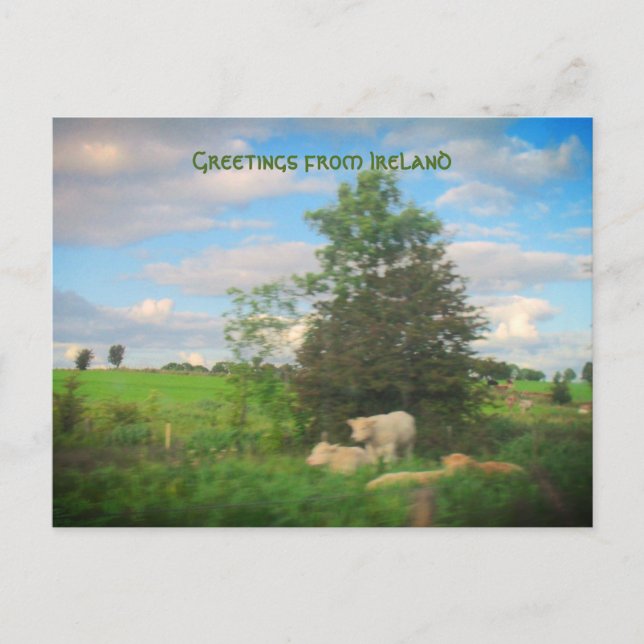 Grüße aus Irland Fotografie Postkarte (Vorderseite)