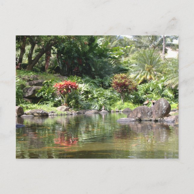 Grüße aus Kauai Postkarte (Vorderseite)