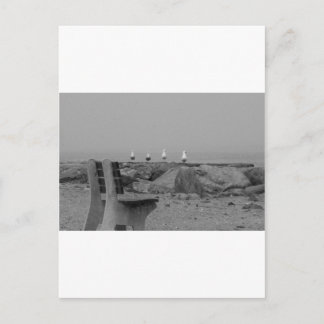 Grüße aus Long Island, NY Postkarte