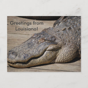Grüße aus Louisiana Postkarte