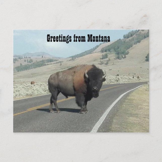 Grüße aus Montana Postkarte (Vorderseite)