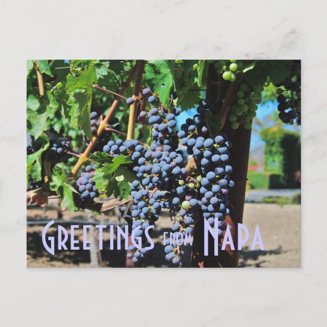 Grüße aus Napa Valley Kalifornien Postkarte (Vorderseite)