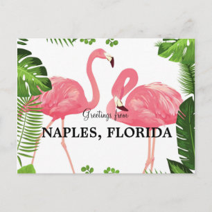 Grüße aus Neapel, Florida Postcard Postkarte