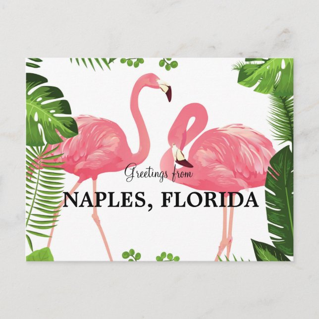 Grüße aus Neapel, Florida Postcard Postkarte (Vorderseite)