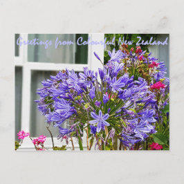 Grüße aus Neuseeland Postkarte