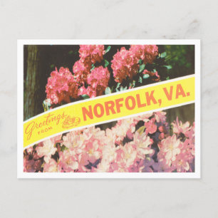 Grüße aus Norfolk, Virginia Vintage Reise Postkarte