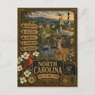 Grüße aus North Carolina   Vintage Retro Kunst Postkarte
