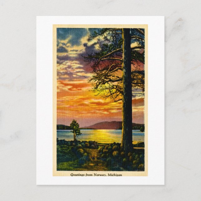 Grüße aus Norwegen, Michigan - Vintag Postkarte (Vorderseite)