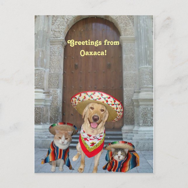 Grüße aus Oaxaca Postkarte (Vorderseite)
