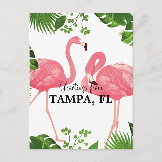 Grüße aus Tampa, FL Postkarte (Vorderseite)