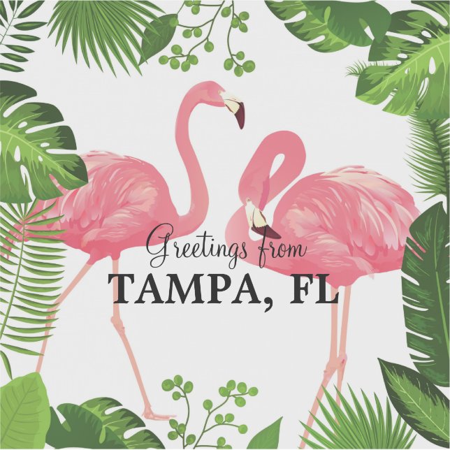 Grüße aus Tampa, Florida Aufkleber (Vorderseite)