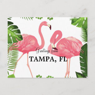 Grüße aus Tampa, Florida Postkarte