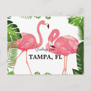Grüße aus Tampa, Florida Postkarte