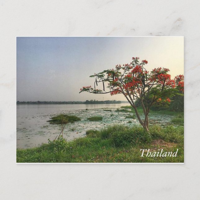 Grüße aus Thailand Postkarte (Vorderseite)