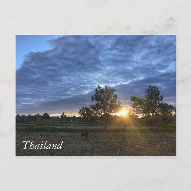 Grüße aus Thailand Postkarte (Vorderseite)