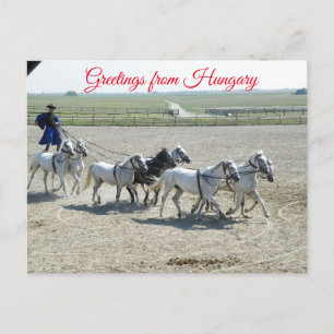 Grüße aus Ungarn Postkarte