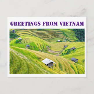 Grüße aus Vietnam Postkarte