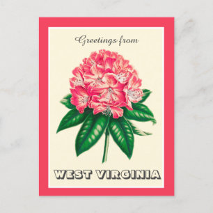 Grüße aus West Virginia Rhododendron Postkarte
