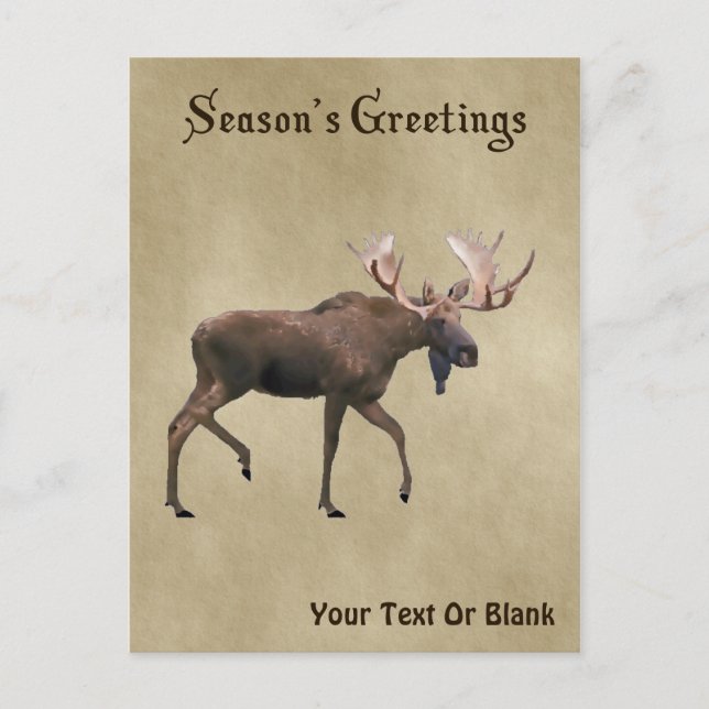 Grüße der Saison - Bull Moose auf altem Papier Postkarte (Vorderseite)