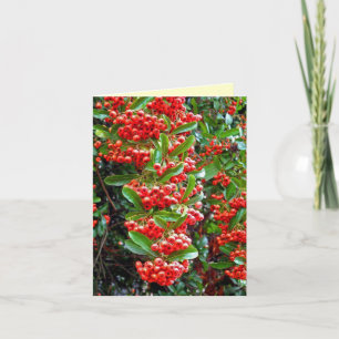 Grüße der Saison Rowan Berry/Tree - Y Feiertagskarte