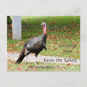 Grüße Kevin Türkei - Old Wethersfield, CT Postkarte