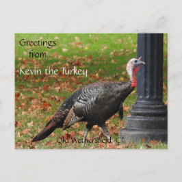 Grüße Kevin Türkei - Old Wethersfield, CT Postkarte