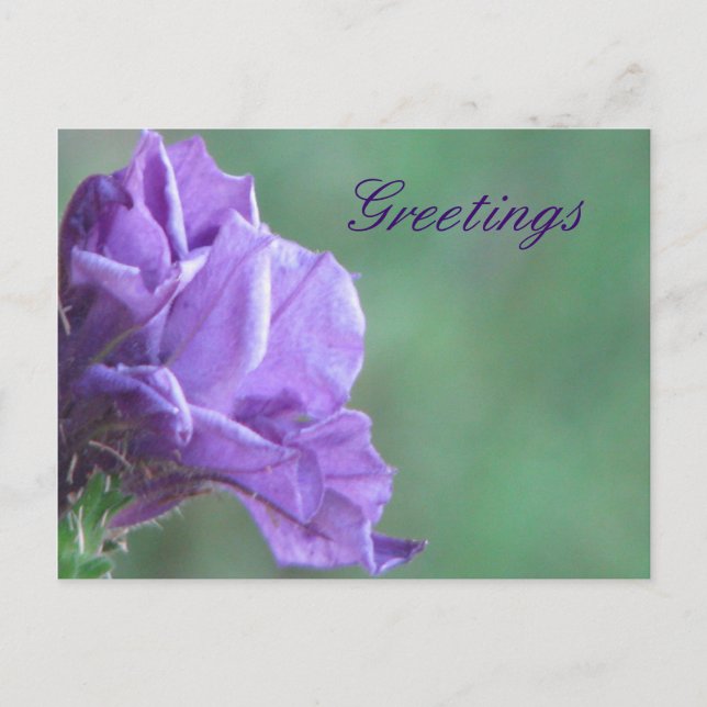 Grüße Postkarte (Vorderseite)