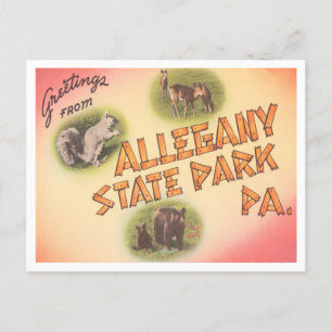 Grüße vom Allegany State Park, Pennsylvania Postkarte
