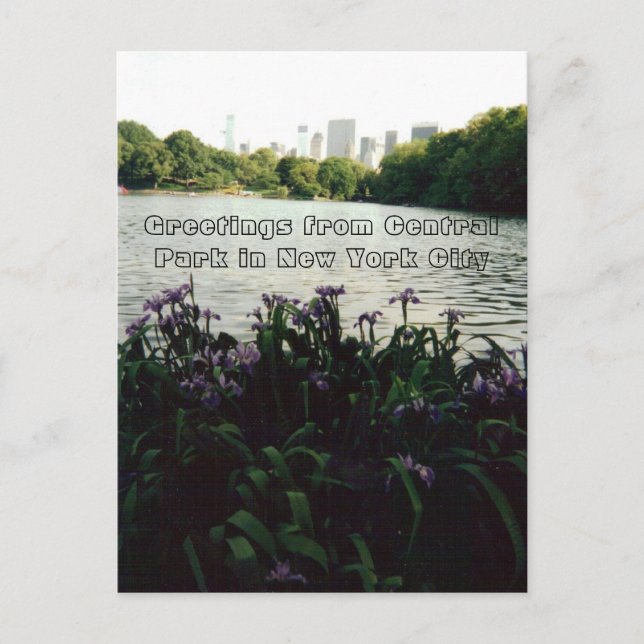 Grüße vom Central Park in New York City Postkarte (Vorderseite)