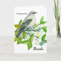 Grüße vom Florida-Spottdrossel-freien Raum