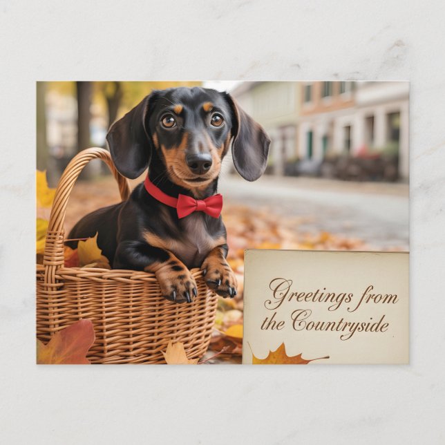 "Grüße vom Lande" Dachshund  Postkarte (Vorderseite)