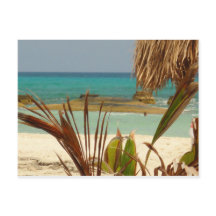 Grüße vom Paradies!