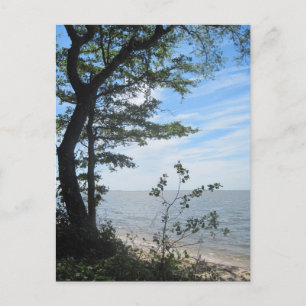 Grüße vom Strand! Postkarte