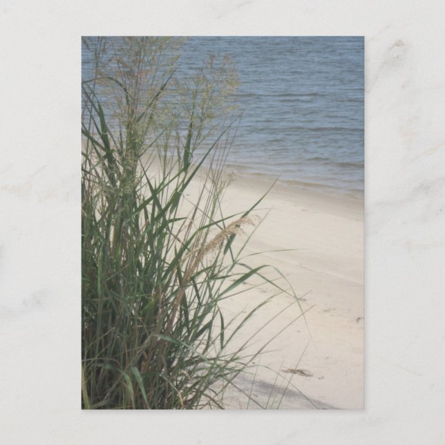 Grüße vom Strand! Postkarte (Vorderseite)