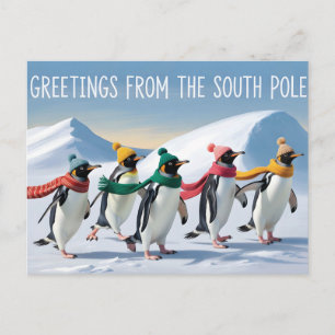 "Grüße vom Südpol" Pinguin-Design Postkarte