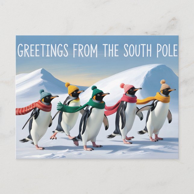 "Grüße vom Südpol" Pinguin-Design Postkarte (Vorderseite)