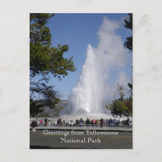 Grüße vom Yellowstone Nationalpark Postcard Postkarte