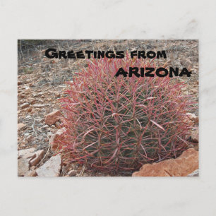 Grüße von Arizona Red Barrel Cactus Pflanze Postkarte