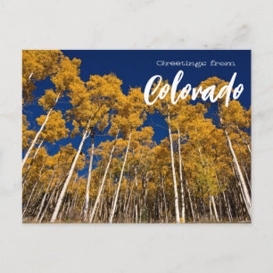 Grüße von Colorado Aspen Bäume Postkarte