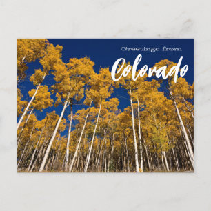 Grüße von Colorado Postcard Aspen Trees Postkarte