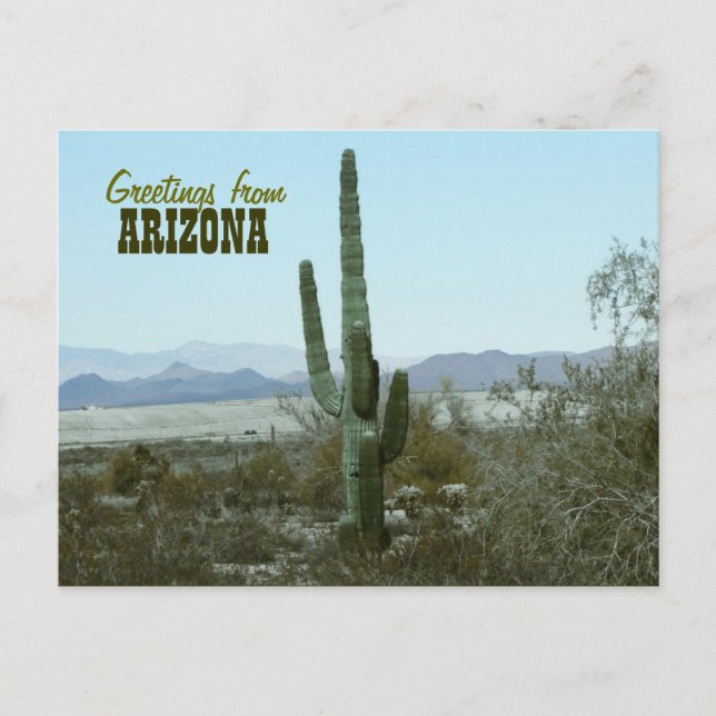 Grüße von der Arizona-Kaktus-Reise-Postkarte Postkarte (Vorderseite)