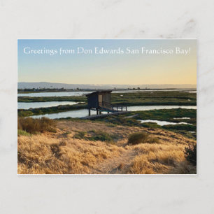 Grüße von Don Edwards San Francisco Bay! Postkarte